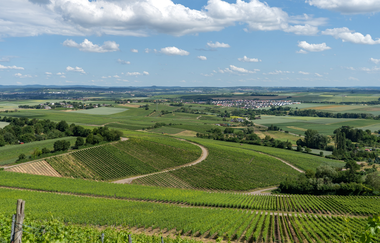 Aussicht über Nordheim und das Zabergäu | © Gemeinde Nordheim