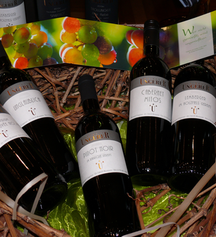 Weinprobiertage beim Weingut Ungerer | © Touristikgemeinschaft Hohenlohe e. V. | Weingut Ungerer