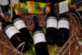 Weinprobiertage beim Weingut Ungerer | © Touristikgemeinschaft Hohenlohe e. V. | Weingut Ungerer