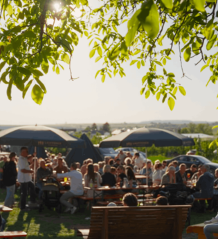 Weinterasse im Burgfeld | © Moser Burgfeld