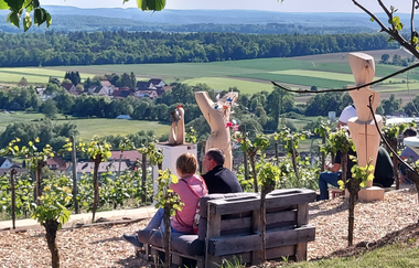 Weinterrasse | © Panoramaweingut Baumgärtner