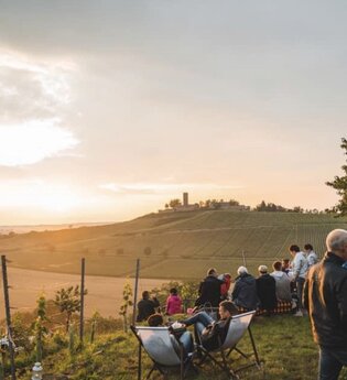 WeinZeit im Gewann "Rieth"
