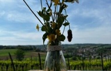 Wine & Gin Walk