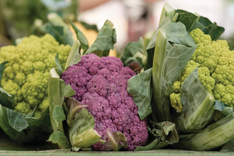 Wochenmarkt Eschelbronn | © TMBW