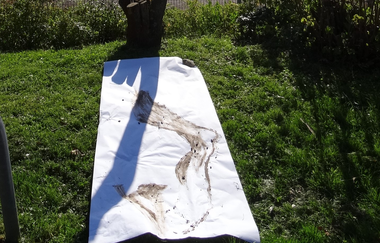 Zeichnen mit der Natur - in der Natur