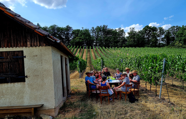 "Ja Heideblitz - de Wengertschütz"