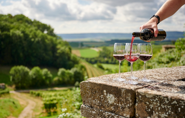 Ausgezeichnete Weinzeit | Pauschale | © Neckar-Zaber-Tourismus e.V.