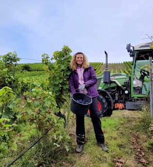 Bad Mergentheim erleben - kurzweilige Stadtführung mit Weinprobe!
