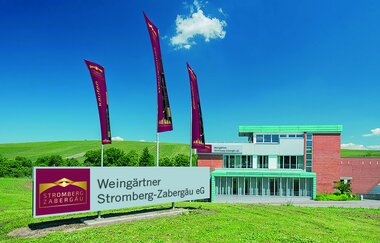 Weingärtner Stromberg-Zabergäu | Brackenheim | HeilbronnerLand | © Weingärtner Stromberg-Zabergäu