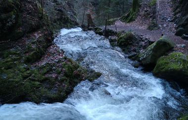 Bewegen im Einklang mit der Natur