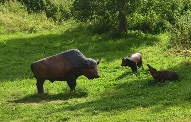 OX-BoW Bogenschießen | Jagsthausen | HeilbronnerLand | © OX-BoW Bogenschießen