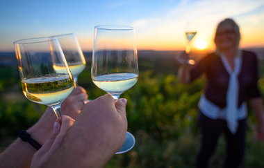 Mehrere Hände stoßen mit Weingläsern an, während im Hintergrund Nicole Halter mit einem Glas in der Hand steht. Die Szene spielt bei Sonnenuntergang in einem Weinberg, die warme Stimmung und das Licht betonen die festliche Atmosphäre. | © Nicole Halter