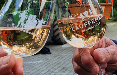 Die Fünf-Sinne-Tour | © Katzenbeißer Carrus | Planwagen- und Weinbergrundfahrt | Lauffen am Neckar