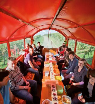 Katzenbeißer Carrus | Planwagen- und Weinbergrundfahrt | Lauffen am Neckar | © Katzenbeisser Carrus Planwagenfahrten GbR