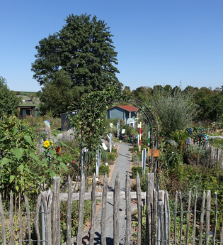 Medizinische Weinprobe | Sana.munda Heilkräutergarten | © Neckar-Zaber-Tourismus e.V.