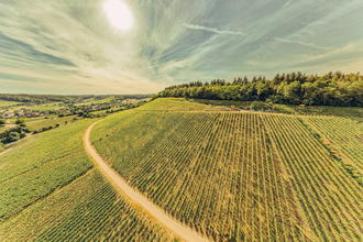 Zweifelberg aus der Vogelperspektive | © Touristikgemeinschaft HeilbronnerLand e.V.