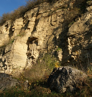 Eine Reise in die Erdgeschichte | © Stadt Bietigheim-Bissingen