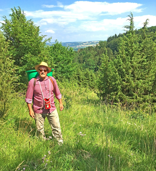 Erlebnis Weinberg! "Taubertäler Häcker"
