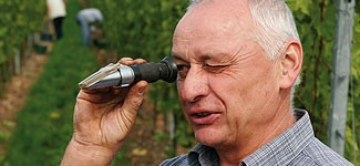 Gast im Weingut an der Tauber ganz oben | © Glocke Weingut und Hotel