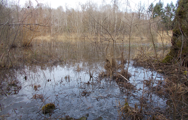 Gräben, Mönche, Teiche