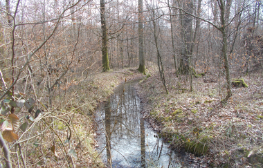 Gräben, Mönche, Teiche