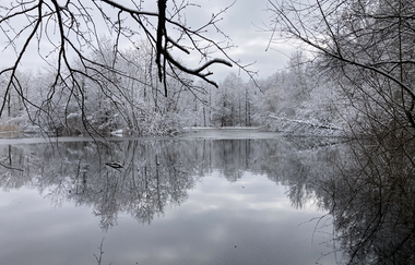 Gräben, Mönche, Teiche