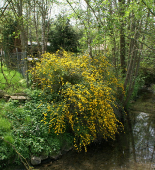 Heimat erleben | © Stadt Kraichtal