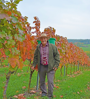 Helmut Fischer und sein historischer Blick in den Weinberg