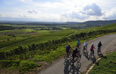 Geführte Radtouren mit Bike- & Touren-Guide Wolfgang Keimp | HeilbronnerLand | © Wolfgang Keimp