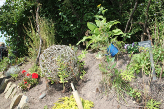 Kräuter-Erlebnisspaziergang mit Gästeführerin Annette Häffele in Kraichtal-Menzingen | © Stadt Kraichtal