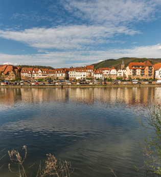 Kräuterführung Wilde Weggesellen | © Stadt Eberbach / Andreas Held