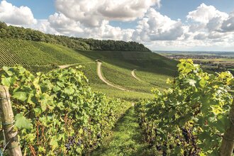 Landauf Landab - Busbegleitung durch das Zabergäu | © Neckar-Zaber-Tourismus e.V.