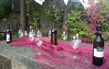 Weinerlebnistour | Regine Sommerfeld | HeilbronnerLand | © Regine Sommerfeld