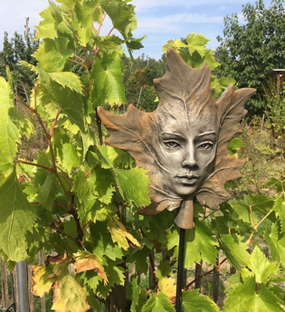 Medizinische Weinprobe | Sana.munda Heilkräutergarten | © Neckar-Zaber-Tourismus e.V.