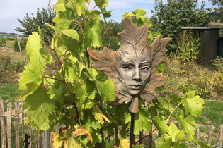 Medizinische Weinprobe | Sana.munda Heilkräutergarten | © Neckar-Zaber-Tourismus e.V.