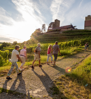 Brackenheim Natur & Wein | Weinfest im Weinsüden Weinort Brackenheim | © Neckar-Zaber-Tourismus e.V.