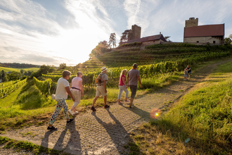 Brackenheim Natur & Wein | Weinfest im Weinsüden Weinort Brackenheim | © Neckar-Zaber-Tourismus e.V.