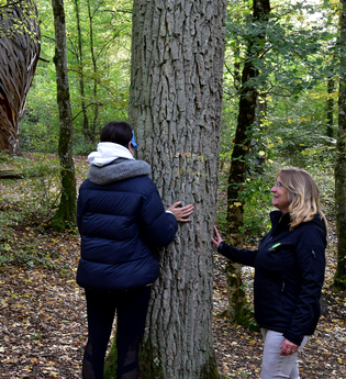 Mythos Baum | © Sabine Murschel