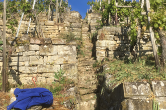 Panoramawanderung am Niedernberg | © Katrin Held