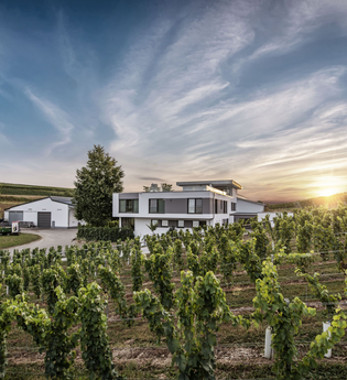 Blick auf die Weinberge und das Gebäude des Weinguts Eberbach-Schäfer bei Sonnenuntergang | © Privatweingut Eberbach-Schäfer