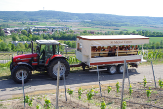 St. Michael Express | Planwagen- und Weinbergrundfahrten | Cleebronn | © Weingärtner Cleebronn-Güglingen
