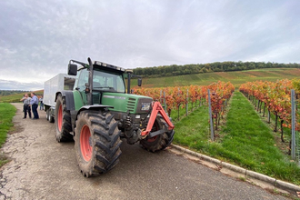 Planwagenfahrt mit dem Zabergäu-Rebell am Stromberg rund um den Weinsüden Weinort Brackenheim | © Neckar-Zaber-Tourismus e.V.