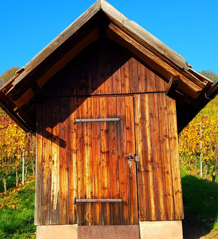 Radreiseleitung Württemberger Weinradweg | © Wolfgang Keimp