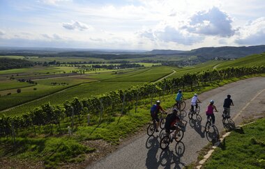 Radreiseleitung Württemberger Weinradweg