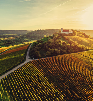 Michaelsberg Cleebronn & Schönste Weinsicht Württemberg | HeilbronnerLand | © Touristikgemeinschaft HeilbronnerLand