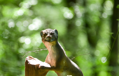 OX-BoW Bogenschießen | Jagsthausen | HeilbronnerLand | © OX-BoW Bogenschießen