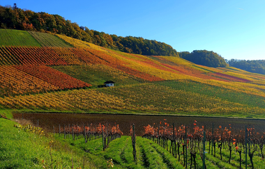Steillagen - Terrassen - Wengertstäffele
