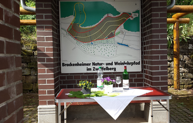 Steillagen - Terrassen - Wengertstäffele