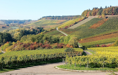 Steillagen - Terrassen - Wengertstäffele