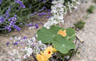 STENG's Aromabar | buchbares Gruppenangebot